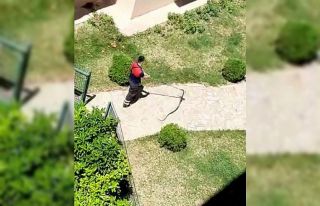 Osmaniye’de çocuk parkında yılan paniği