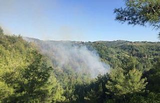 Osmaniye’de orman yangını