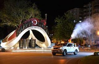 Osmaniye’de sinekle mücadele