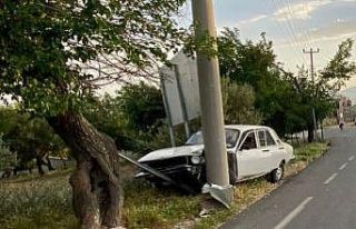 Otomobil elektrik direğine çarptı: 1 yaralı
