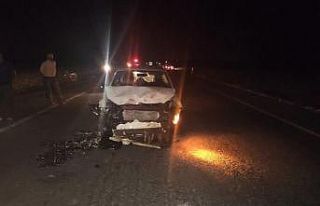 Otomobil sürüye daldı, 14 koyun telef oldu