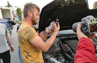 Otomobilin motorundan çıkardığı kediyi sahiplendi