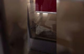 (Özel) Arnavutköy’de bankanın alarmı çalınca...