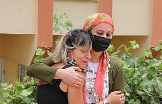 (Özel) Beslediği kediyi pencere korkuluğunda asılı...