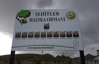 (ÖZEL) Bitlis’teki helikopter şehitleri anısına...