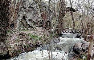 (Özel) Erciyes’in karı eridi Kırlangıç Vadisi...