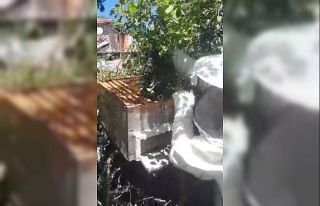 (Özel) Evinin penceresinden bakınca gördüğü...