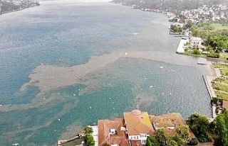 (Özel) İstanbul Boğazı’nda suyun rengi değişti,...