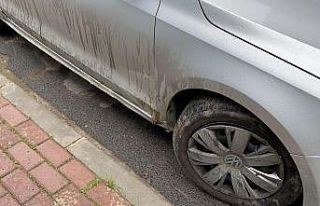 (Özel) Kediye çarpmamak için kaza yaptı