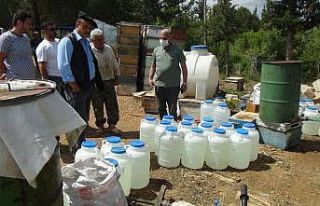 (ÖZEL) Sahte bal üreticilerine baskın