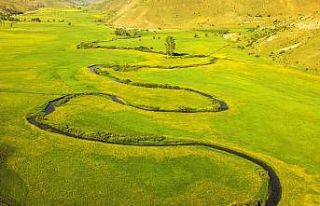 (Özel) Sarı çiçeklerle süslenen menderesler görsel...