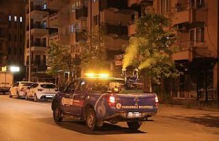 Pamukkale’de sivrisinekle mücadele devam ediyor