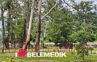 Pandemi sebebiyle meşhur piknik alanı boş kaldı