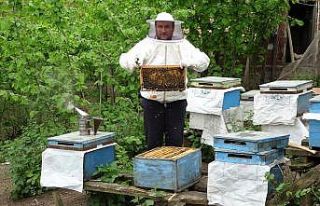 Pandemide karakovan balına talep arttı