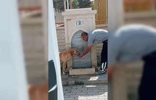 Park ve bahçeler görevlisi köpeğe eliyle su içirdi