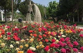 Park ve yeşil alanlar çiçek gibi oluyor