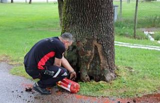 Parkta çıkan ağaç yangını faciaya dönüşmeden...