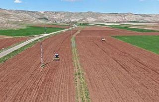 Patates üretiminde ilk sıralarda olan Sivas’ta...