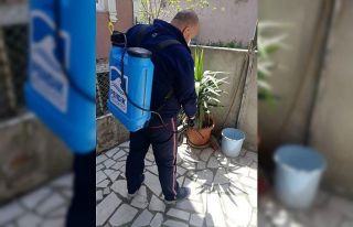Pendik Belediyesi ekipleri ilaçlamalara başladı