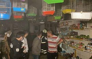 Pet shop mağazasında yangın çıktı