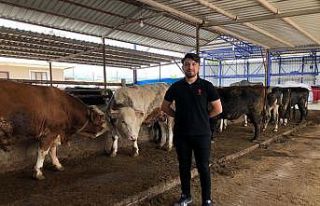 Piyasalarda kurban hareketliliği yaşanıyor