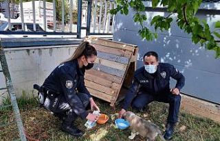 Polis memurları devriye sırasında buldukları yavru...