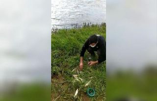 Polis memurunun balıkları kurtarmak için zamanla...