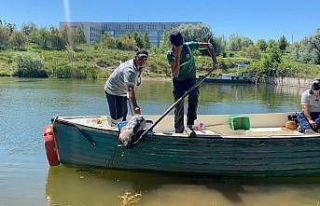 Poşet içinde ölü köpek bulundu