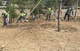 Pursaklar yeşile bürünüyor