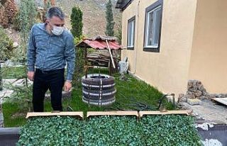 Pursaklar’da yerli ve milli tohum üretim dönemi