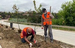 Refüjlerde ağaçlandırma çalışmaları başladı