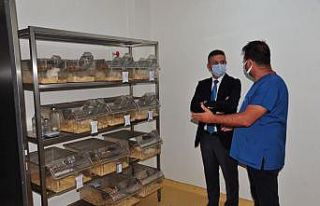 Rektör Kuş, Deney hayvanları üretim laboratuvarını...