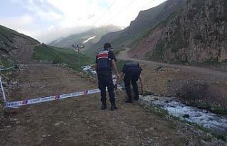 Rize’de oltası elektrik direğine takılan amatör...