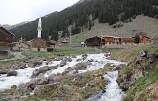 Rize’nin gözde yaylaları tam kapanmanın biteceği...