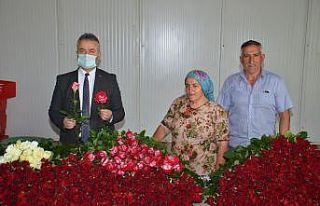 Rodos gülünü Türkiye’ye yaydı, ithalatı önledi