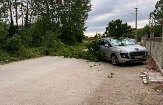 Sağanak yağış sonrasında aracın üzerine ağaç...