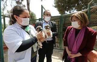 Şahin’den hayvan barınağına ziyaret