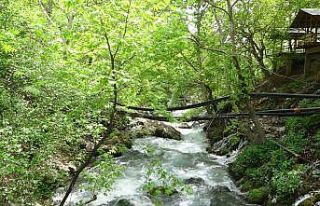 Saimbeyli’deki gizli doğa cenneti ’Pağnık’...