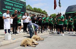 Sakaryaspor finale kurban kesilerek uğurlandı