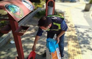 Salgında sokak hayvanlarına özel ilgi