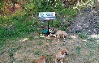 Salihli Belediyesi can dostlarını unutmuyor