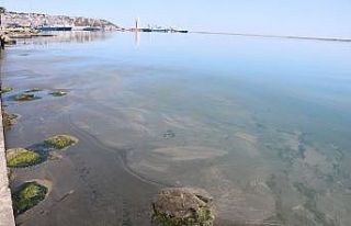 Samsun Limanı’ndaki kirlilik büyüyor