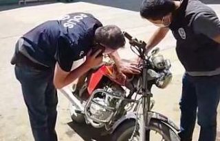 Şanlıurfa’da 154 çalıntı motosiklet ele geçirildi