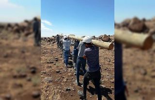 Şanlıurfa’da fırtınanın yıktığı elektrik...