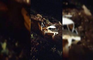 Şanlıurfa’da trafik kazası: 1 ölü, 1 yaralı