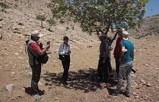 Şanlıurfa’nın bozkırlarının biyolojik yapısı...