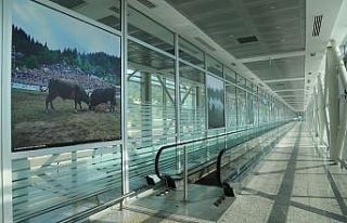 Sarp Sınır Kapısı’nın 1 Haziran’da turist...
