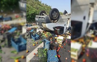 Sebze yüklü kamyonet takla attı