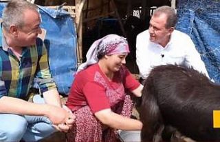 Seçer: "Mersin’in her köşesi bir cennet"