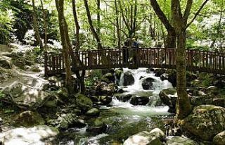 Şehir merkezine bir kilometre mesafedeki tabiat harikası...